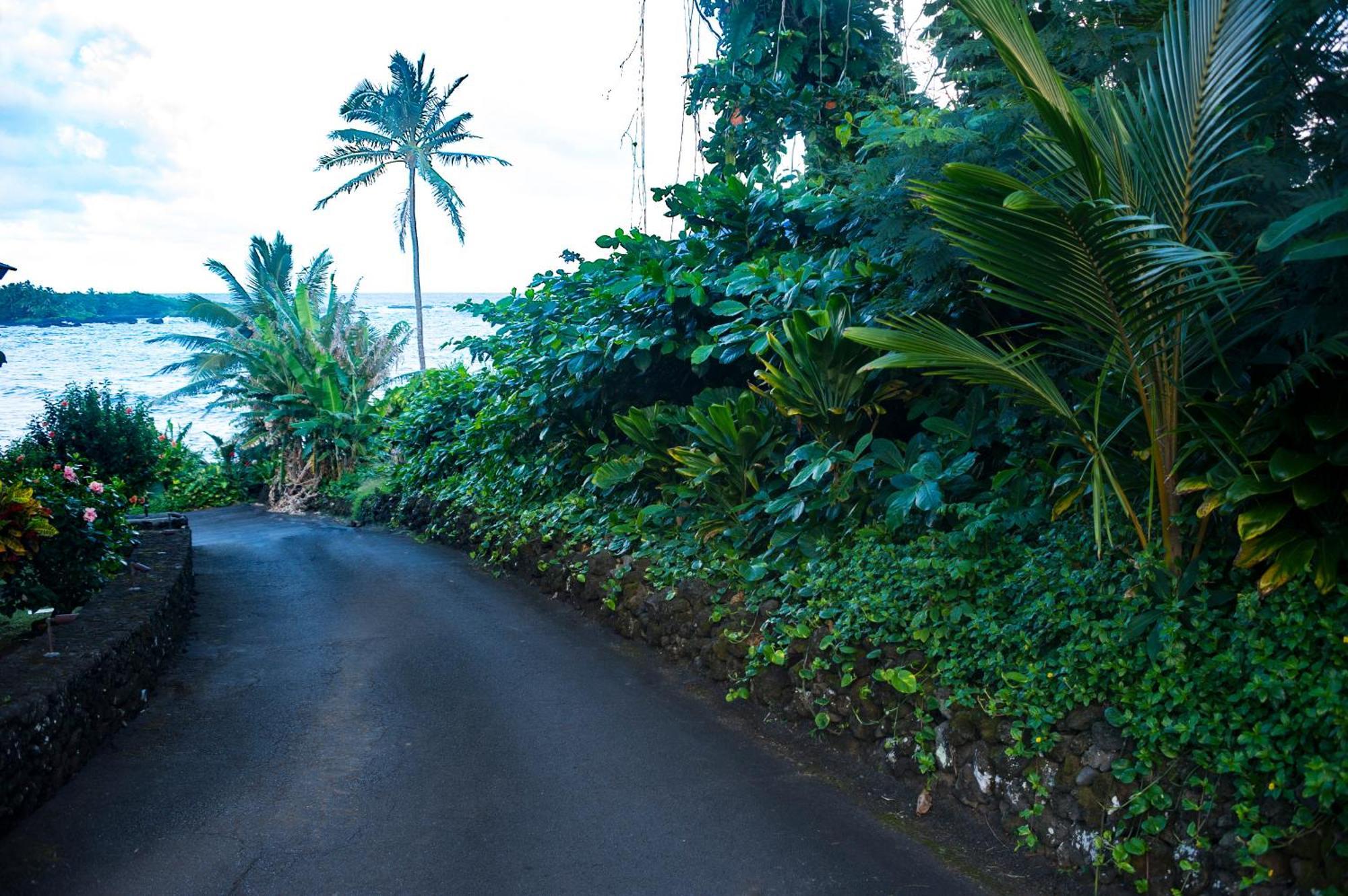 Hana Kai Maui - #4 Nanuʻalele Oceanfront 1 Br Apartment Exterior photo