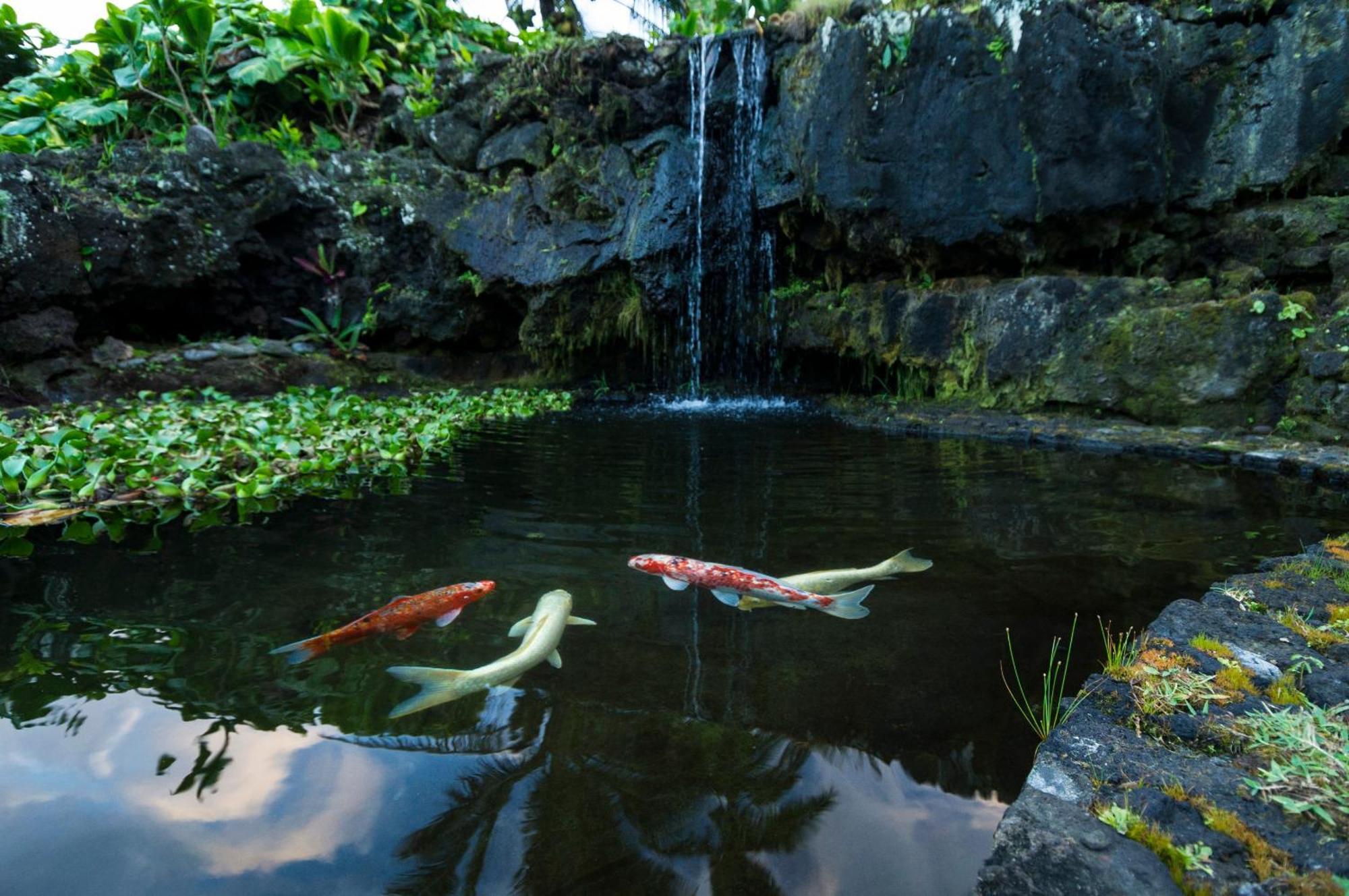 Hana Kai Maui - #4 Nanuʻalele Oceanfront 1 Br Apartment Exterior photo